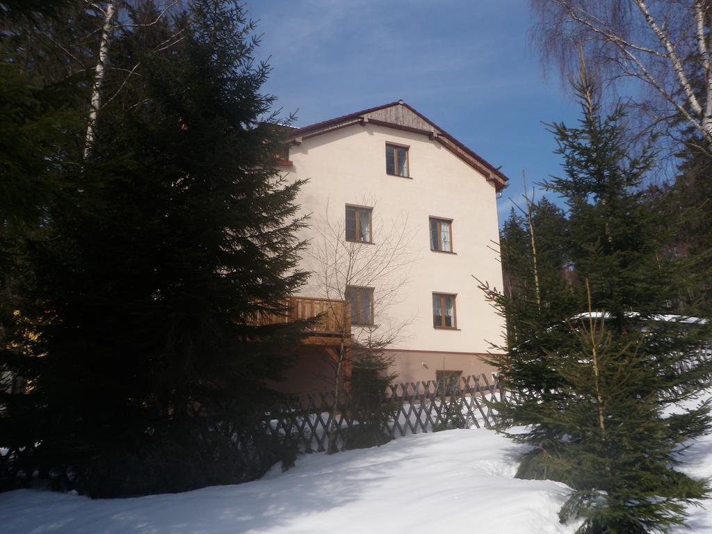 Železná Ruda Apartmany Domino מראה חיצוני תמונה