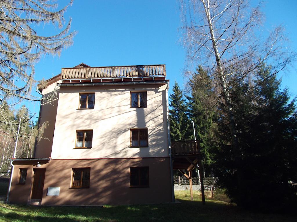 Železná Ruda Apartmany Domino מראה חיצוני תמונה