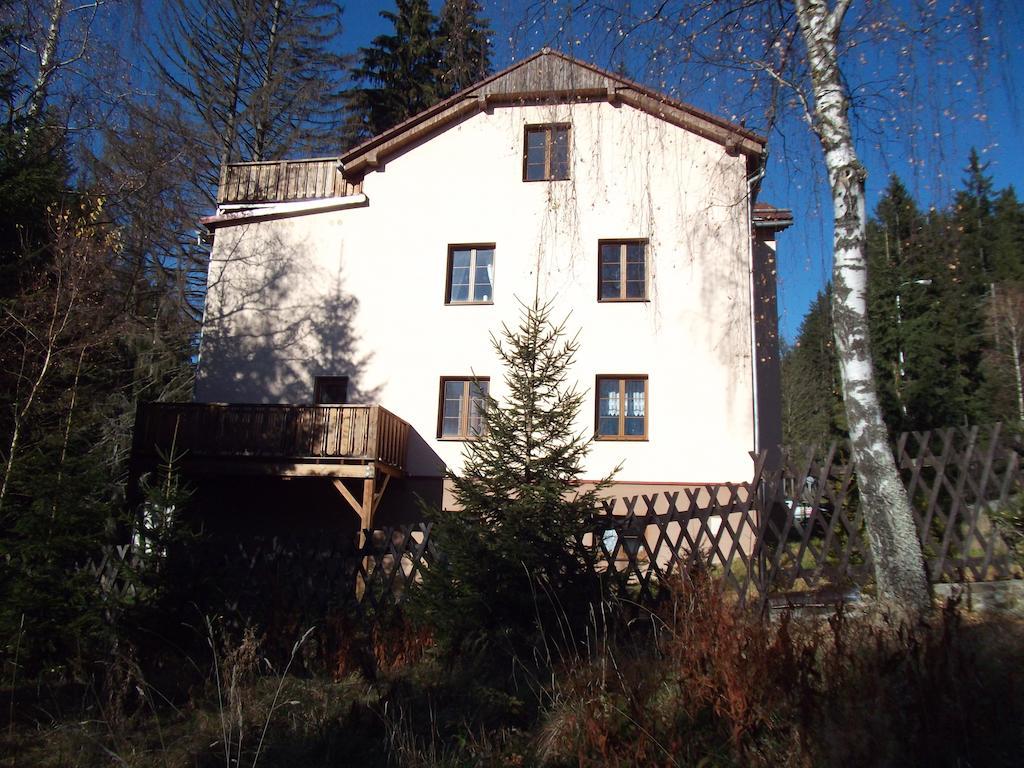 Železná Ruda Apartmany Domino מראה חיצוני תמונה